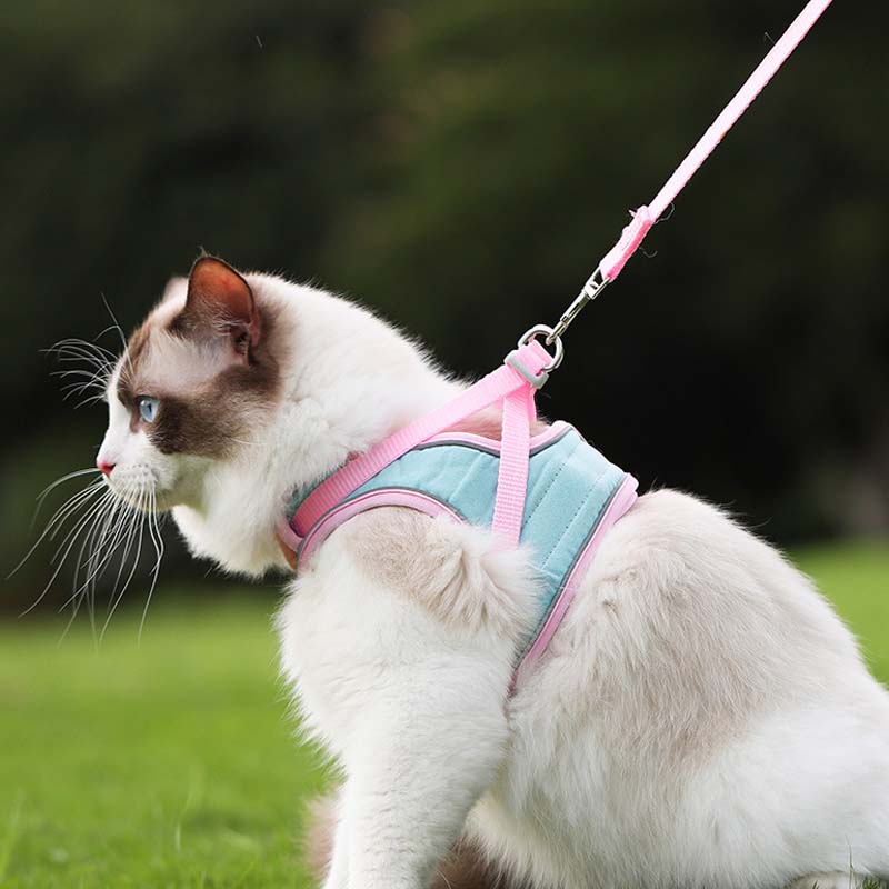 🐱Отразяваща котешка каишка с повод против бягство✨