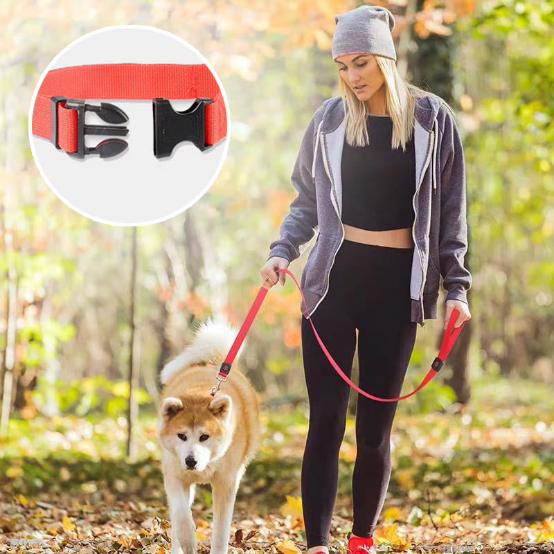 🐶Регулируем колан за кучета