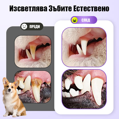 🐕Купуваш 1, получаваш 1 безплатно🐱 Гел за устна хигиена за домашни любимци🌈