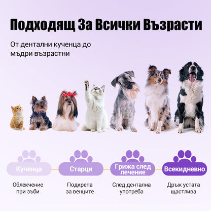 🐕Купуваш 1, получаваш 1 безплатно🐱 Гел за устна хигиена за домашни любимци🌈