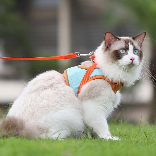 🐱Отразяваща котешка каишка с повод против бягство✨