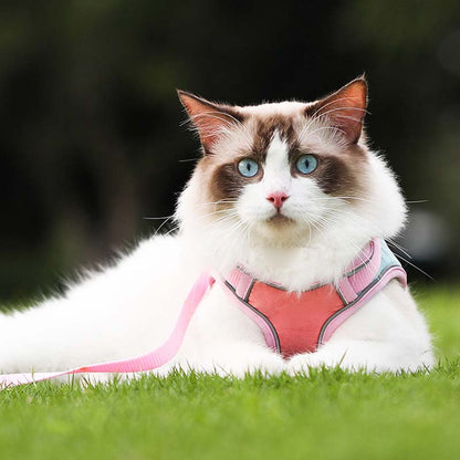 🐱Отразяваща котешка каишка с повод против бягство✨