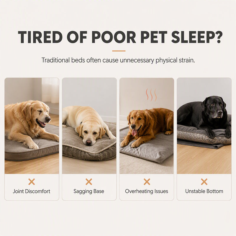 All‑Season Ergonomic Comfort Pet Bed – Snug, Breathable, Cozy ✨