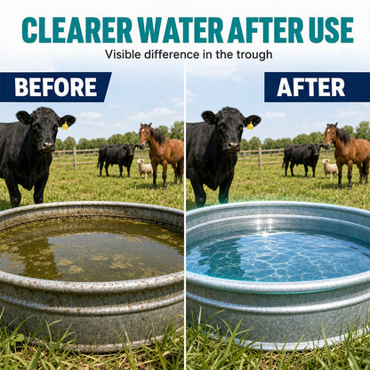 🥳🔥HOT SALE! Stock Tank Tablets – Fast-Dissolving, Easy Drop-In, Fresher Water for Farm Care