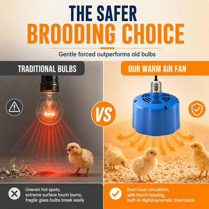 🐣🌡️Intelligent Temperature Control Brooder Heater – Constant Warmth, Safe & Energy-Saving for Chicks